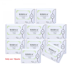 10pack=100pcs Anion Santitary Napkin Women Menstrual Pads Feminine Organic Panty Liners Daily Use Health Care Sanitary Towels